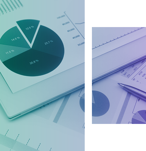 Paperwork showing charts, graphs and tables. 