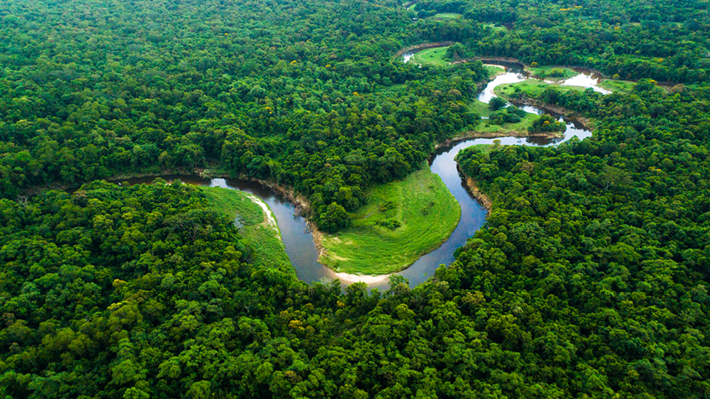 Aerial view of a river winding through Canada’s boreal forest. 