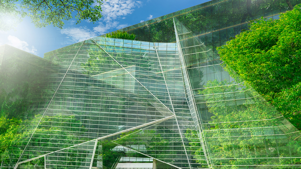 A view of reflection of several trees on a glass building