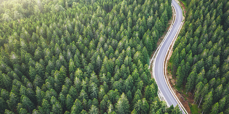 A winding road running along a green landscape