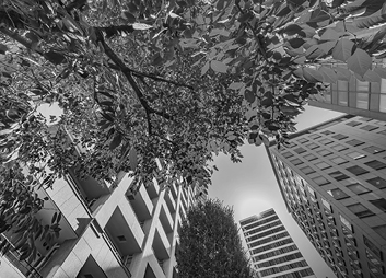 Discover actionable strategies that can lead your clients toward growth and stability amidst market uncertainty.