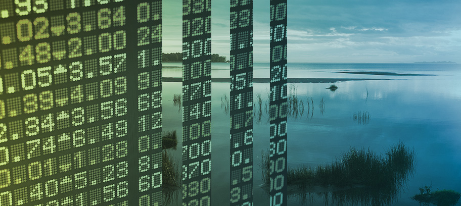 Stock price ticker board combined with quiet lake at dawn. 