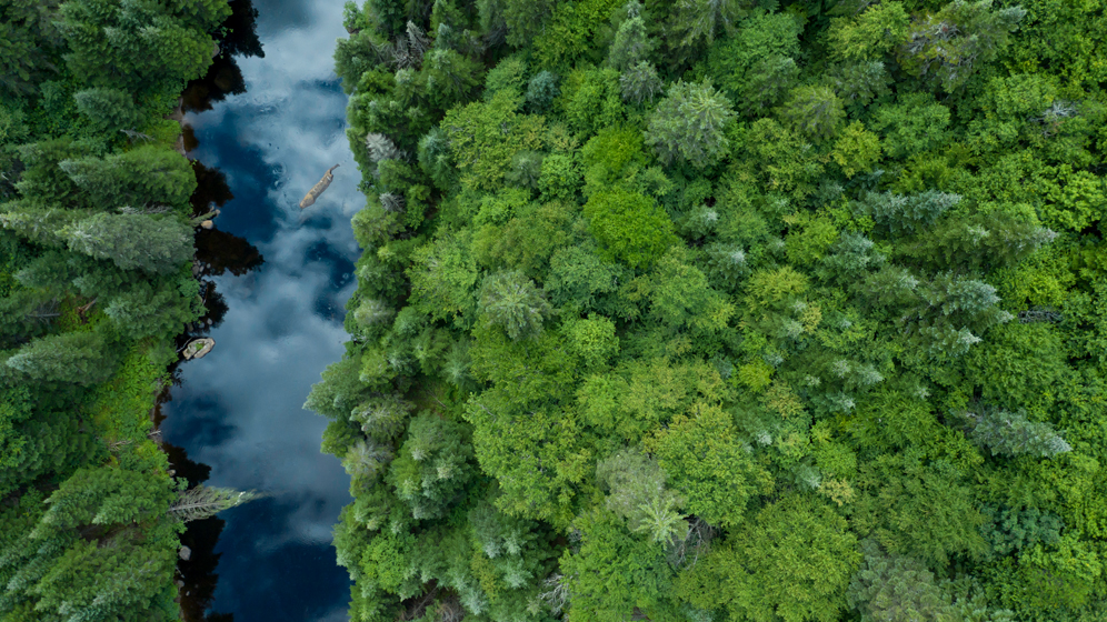 Aerial view of a river winding through Canada’s boreal forest. 